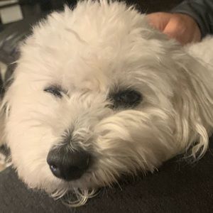 Meet your Posher, Madelyn